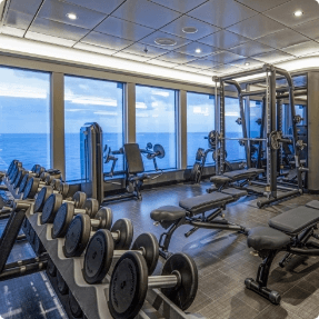 A cruise fitness gym overlooking the vast ocean